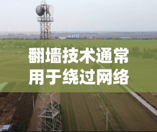 翻墙技术通常用于绕过网络限制，访问被限制访问的网站或内容。国际节点可能是指在不同国家或地区提供的翻墙服务节点，这些节点可以帮助用户访问国外网站或内容