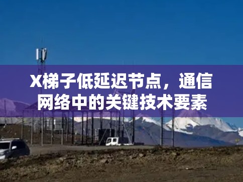 X梯子低延迟节点，通信网络中的关键技术要素