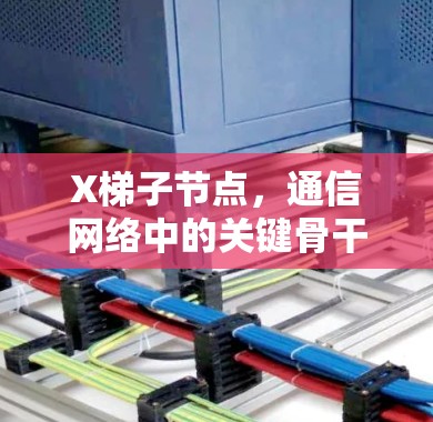 X梯子节点，通信网络中的关键骨干节点