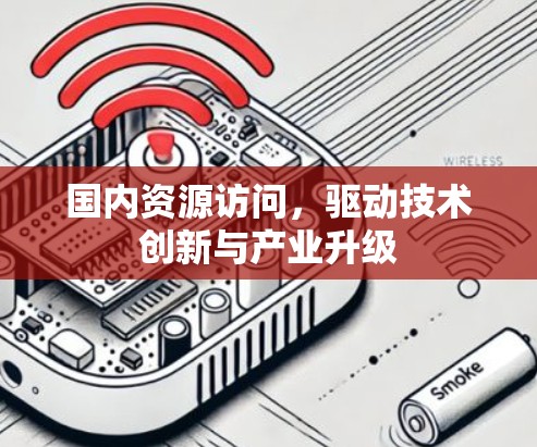 国内资源访问,驱动技术创新与产业升级 国内资源访问,驱动技术创新与产业升级