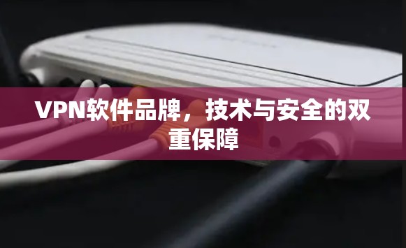 VPN软件品牌，技术与安全的双重保障