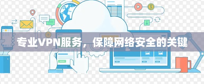 专业VPN服务，保障网络安全的关键