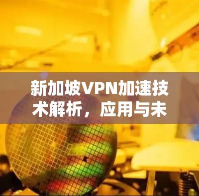 新加坡VPN加速技术解析,应用与未来趋势 新加坡VPN加速技术解析,应用与未来趋势