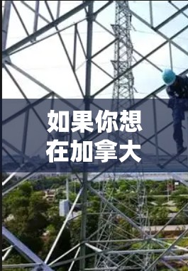 如果你想在加拿大使用VPN,以下是一些常用的加拿大VPN服务提供商 如果你想在加拿大使用VPN,以下是一些常用的加拿大VPN服务提供商