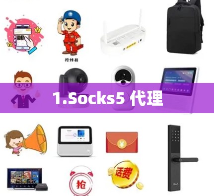 1.Socks5 代理