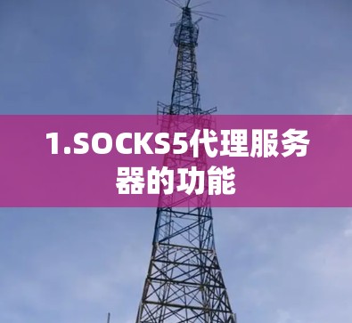 1.SOCKS5代理服务器的功能 1.SOCKS5代理服务器的功能