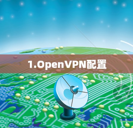 1.OpenVPN配置 1.OpenVPN配置