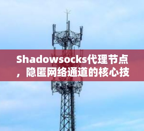 Shadowsocks代理节点,隐匿网络通道的核心技术 Shadowsocks代理节点,隐匿网络通道的核心技术