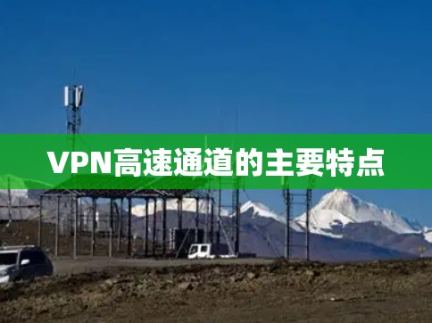 VPN高速通道的主要特点