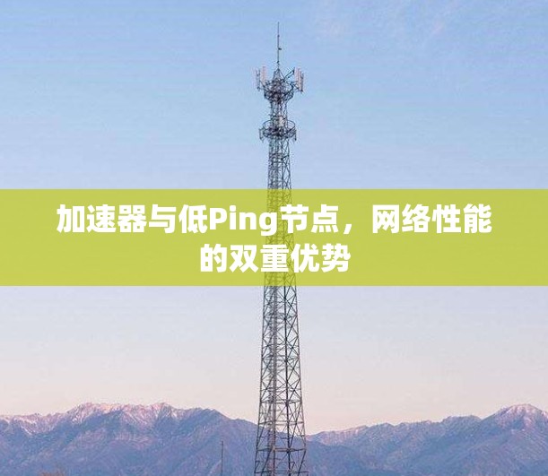 加速器与低Ping节点，网络性能的双重优势