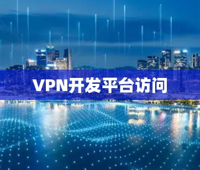 VPN开发平台访问