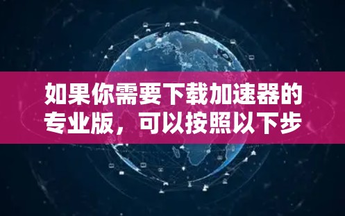 如果你需要下载加速器的专业版，可以按照以下步骤操作