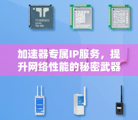 加速器专属IP服务,提升网络性能的秘密武器 加速器专属IP服务,提升网络性能的秘密武器