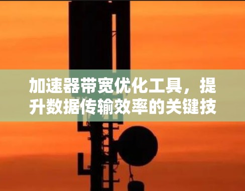 加速器带宽优化工具,提升数据传输效率的关键技术 加速器带宽优化工具,提升数据传输效率的关键技术