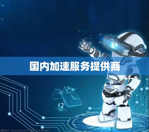国内加速服务提供商