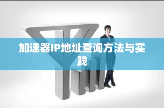 加速器IP地址查询方法与实践