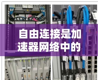 自由连接是加速器网络中的一个关键拓扑结构,具有以下特点和应用 自由连接是加速器网络中的一个关键拓扑结构,具有以下特点和应用