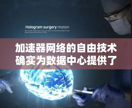 加速器网络的自由技术确实为数据中心提供了一种灵活、高效的解决方案,通过软件实现加速效果,降低了硬件依赖,降低了成本,并提高了灵活性。以下是对这一技术的详细总结 加速器网络的自由技术确实为数据中心提供了一种灵活、高效的解决方案,通过软件实现加速效果,降低了硬件依赖,降低了成本,并提高了灵活性。以下是对这一技术的详细总结