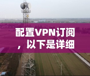 配置VPN订阅,以下是详细的步骤指南 配置VPN订阅,以下是详细的步骤指南