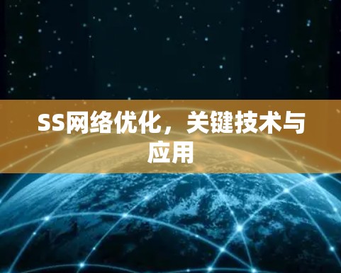 SS网络优化,关键技术与应用 SS网络优化,关键技术与应用