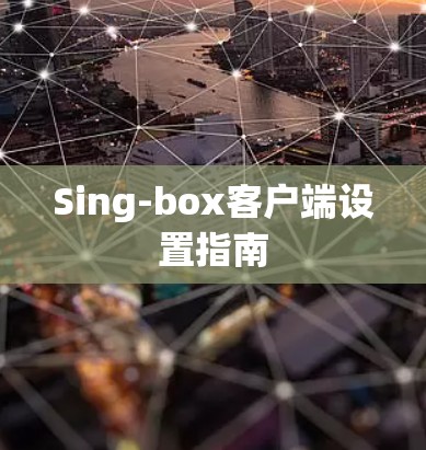 Sing-box客户端设置指南 Sing-box客户端设置指南