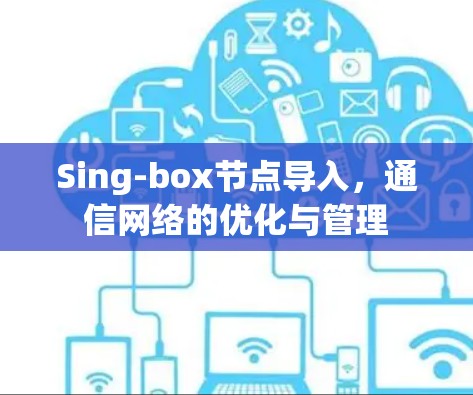Sing-box节点导入,通信网络的优化与管理 Sing-box节点导入,通信网络的优化与管理