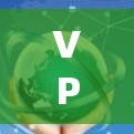 VPN跨境店铺访问指南