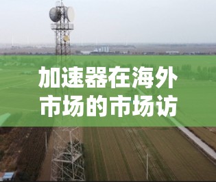 加速器在海外市场的市场访问策略分析