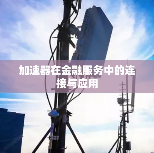 加速器在金融服务中的连接与应用 加速器在金融服务中的连接与应用