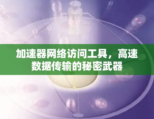 加速器网络访问工具，高速数据传输的秘密武器