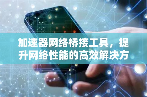 加速器网络桥接工具,提升网络性能的高效解决方案 加速器网络桥接工具,提升网络性能的高效解决方案