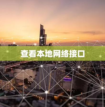 查看本地网络接口