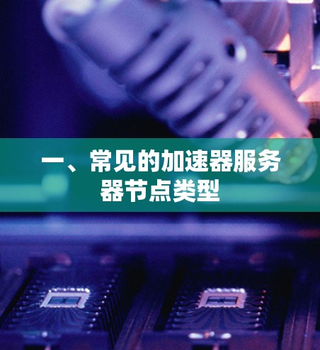 一、常见的加速器服务器节点类型