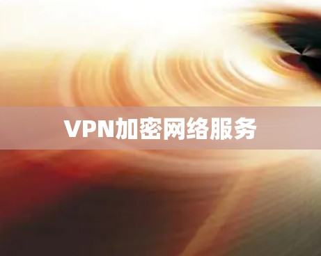 VPN加密网络服务
