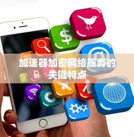 加速器加密网络服务的关键特点 加速器加密网络服务的关键特点