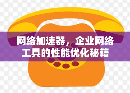 网络加速器，企业网络工具的性能优化秘籍