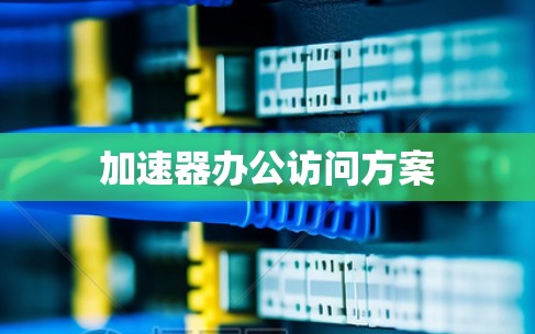 加速器办公访问方案 加速器办公访问方案