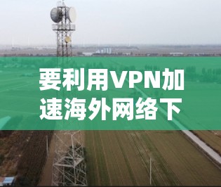 要利用VPN加速海外网络下载，可以按照以下步骤操作