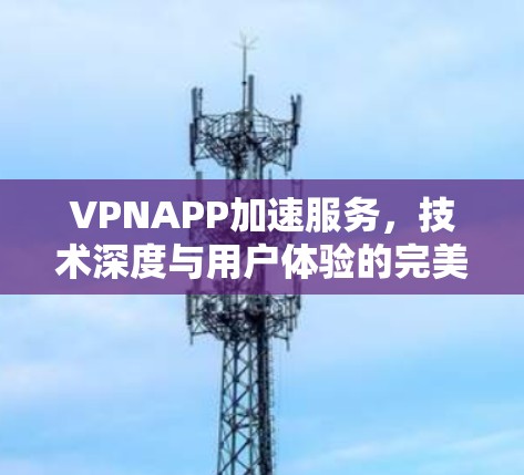 VPNAPP加速服务，技术深度与用户体验的完美融合