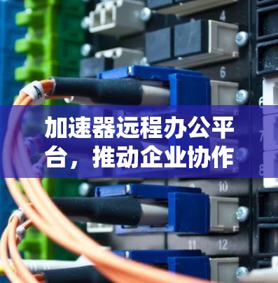 加速器远程办公平台，推动企业协作效率的革命性提升
