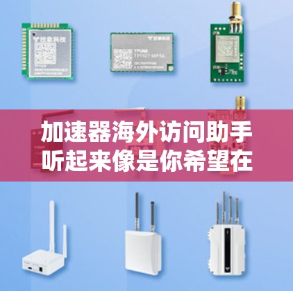 加速器海外访问助手听起来像是你希望在海外访问某种加速器资源或服务。以下是一些可能的解释和可能的帮助方向