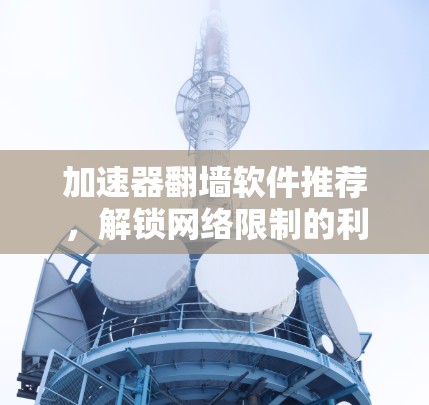 加速器翻墙软件推荐，解锁网络限制的利器