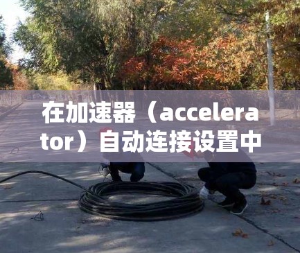 在加速器（accelerator）自动连接设置中，以下是一些常见的步骤和配置方法，帮助你实现加速器的自动连接功能