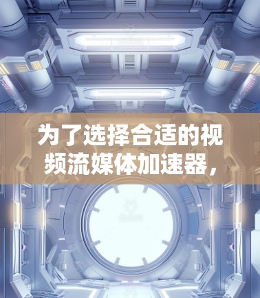 为了选择合适的视频流媒体加速器，以下是根据您的需求进行的分析和建议