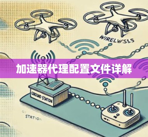 加速器代理配置文件详解