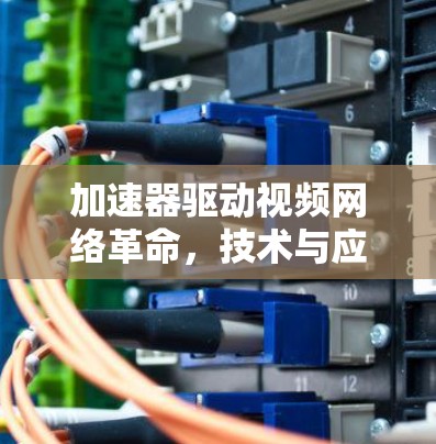 加速器驱动视频网络革命，技术与应用探析