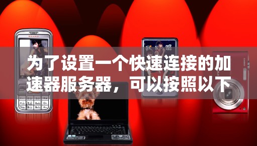 为了设置一个快速连接的加速器服务器，可以按照以下步骤操作
