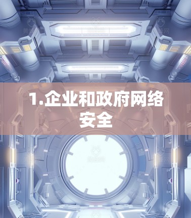 1.企业和政府网络安全