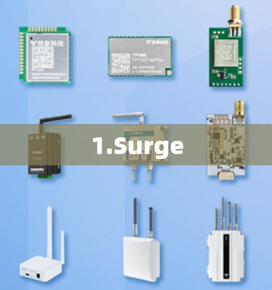 1.Surge