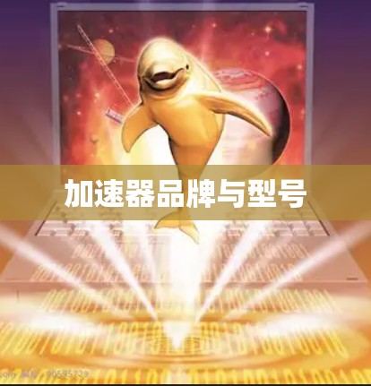 加速器品牌与型号